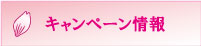 キャンペーン情報