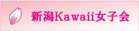 新潟kawaii女子会