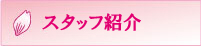 スタッフ紹介